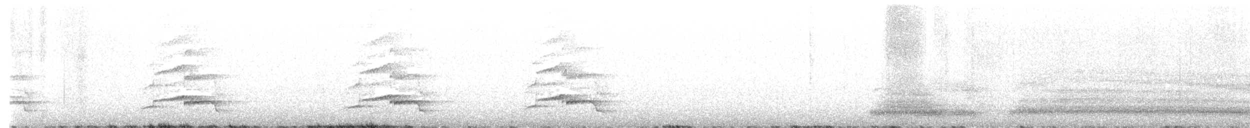 kivi jižní (ssp. lawryi) - ML618251683