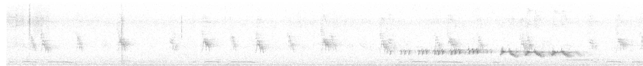 holoubek vlnkovaný - ML618253064