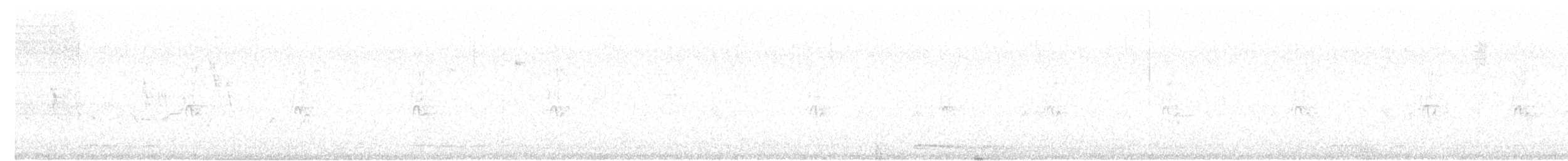 holoubek vlnkovaný - ML618253177
