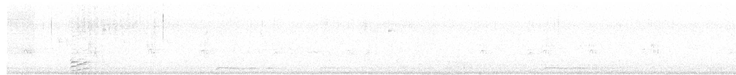 holoubek vlnkovaný - ML618253200