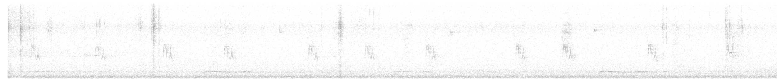 holoubek vlnkovaný - ML618253221