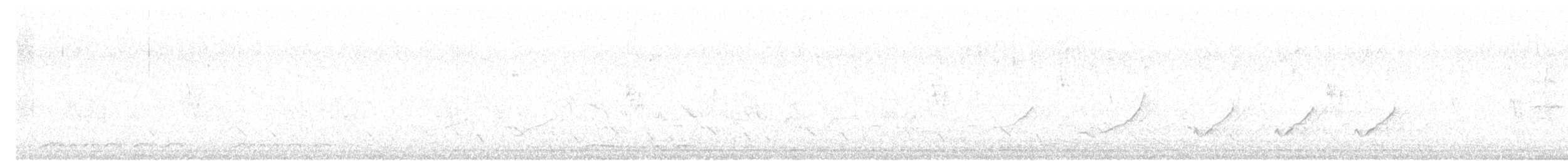 holoubek vlnkovaný - ML618253386