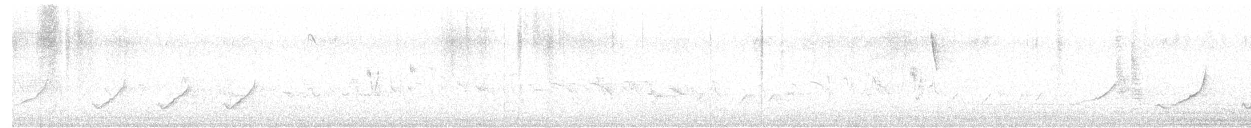 holoubek vlnkovaný - ML618253421
