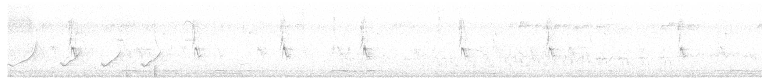 holoubek vlnkovaný - ML618253435