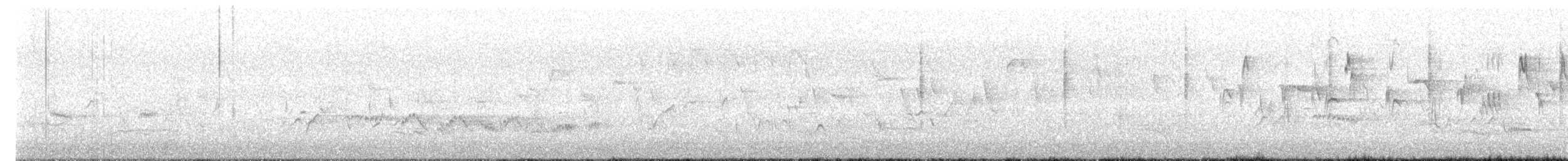 gransanger (collybita gr.) - ML618255211