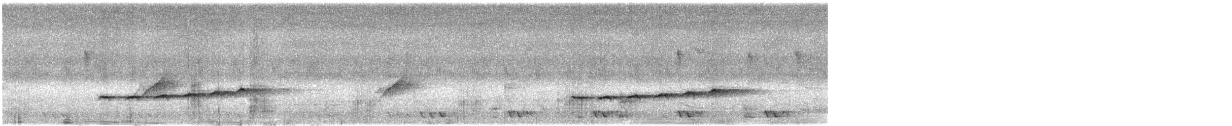 Fork-tailed Drongo-Cuckoo - ML618256916