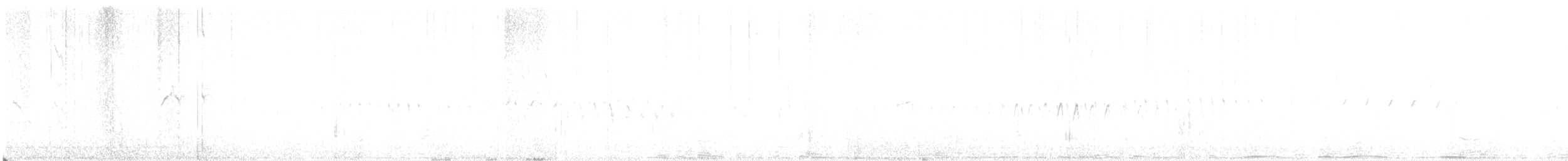 シロハラアマツバメ - ML618258090