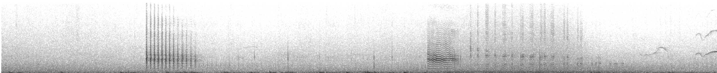 黑玄燕鷗 - ML618259302