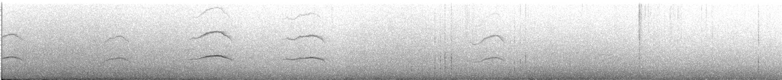 ヒメクロアジサシ - ML618259370