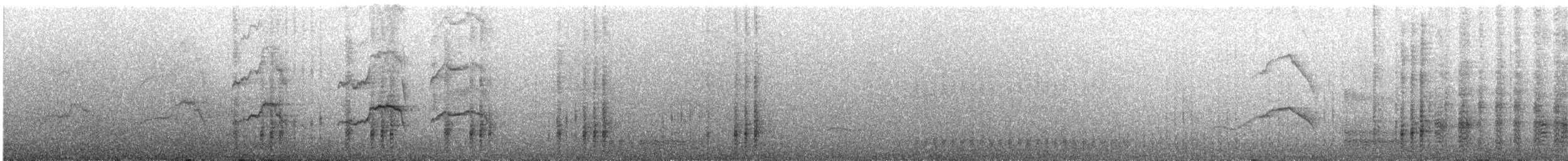 ヒメクロアジサシ - ML618259521