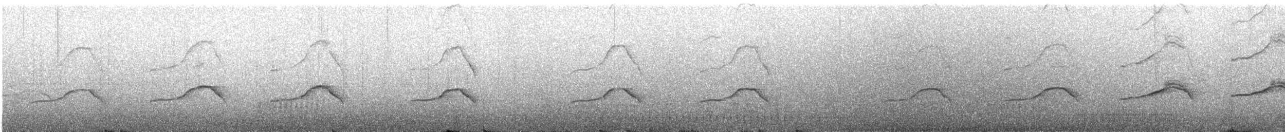 ヒメクロアジサシ - ML618259543