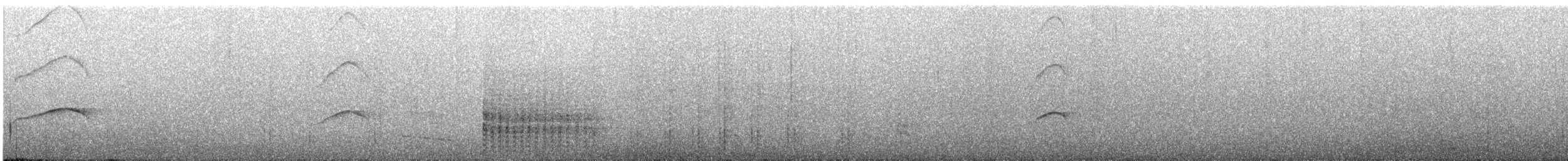 ヒメクロアジサシ - ML618259750