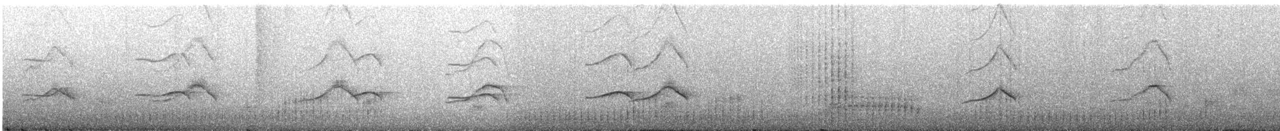 ヒメクロアジサシ - ML618259869