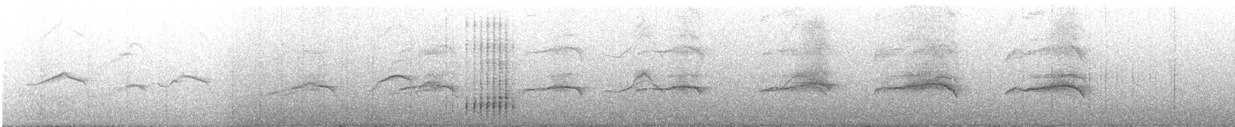 ヒメクロアジサシ - ML618260103