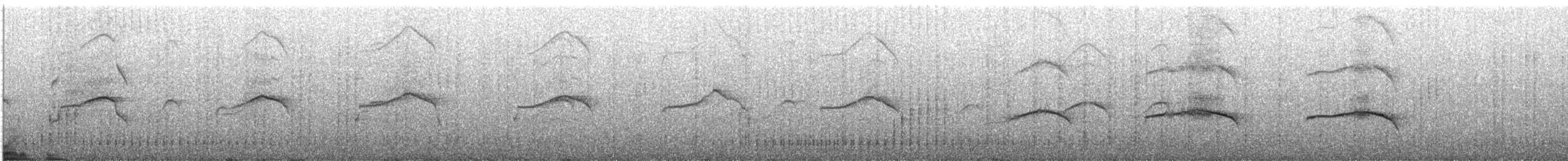 ヒメクロアジサシ - ML618260147