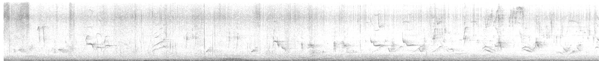 Длинноклювый пересмешник - ML618260209
