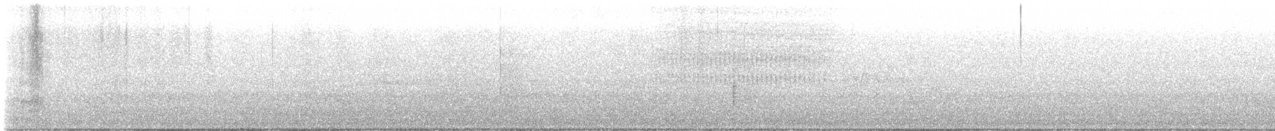 Трясогузковый певун - ML618261544