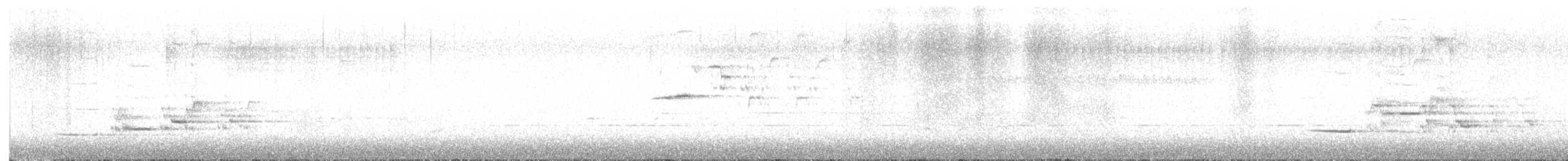 Дрізд-короткодзьоб плямистоволий - ML618263233