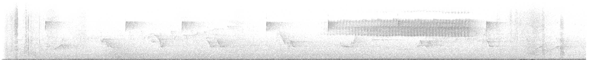 Paruline vermivore - ML618263371