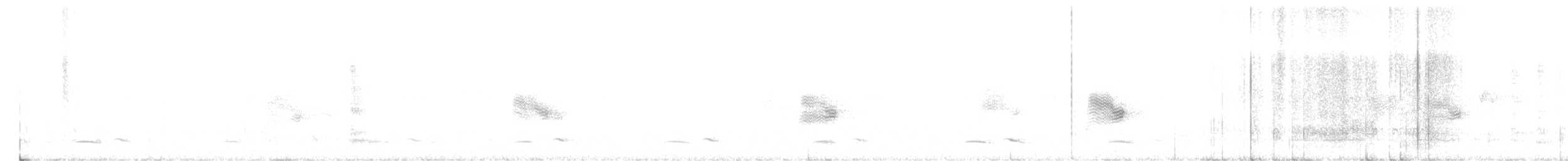 Winternachtschwalbe - ML618266906