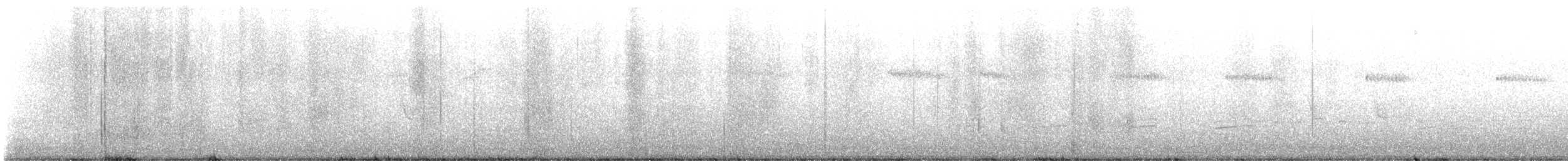 Широкохвостый колибри - ML618267896
