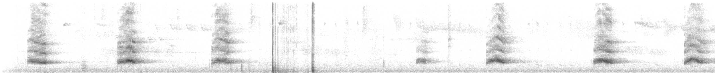 Toucan du Choco - ML618270287