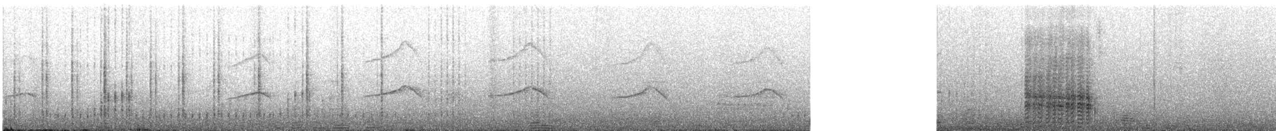 ヒメクロアジサシ - ML618270314