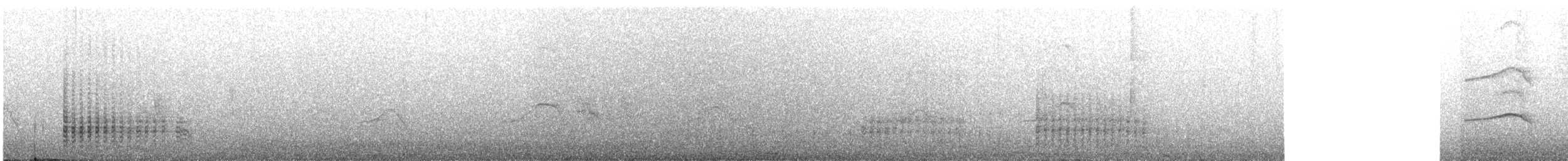 Крячок атоловий - ML618270527