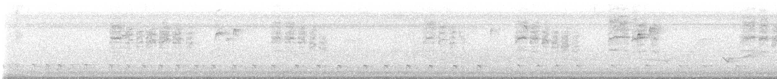 hvitbrynsvartspett - ML618270924