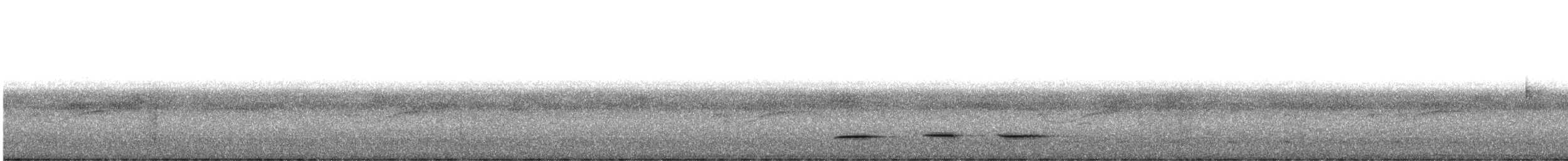 Таязура-клинохвіст велика - ML618271004