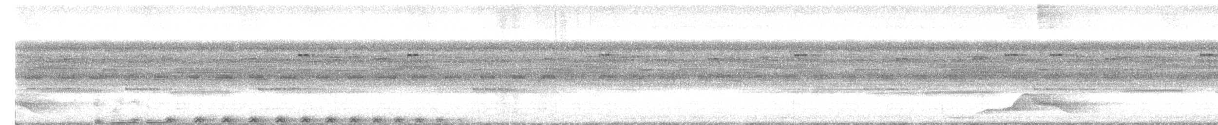 Pauraquenachtschwalbe - ML618271502