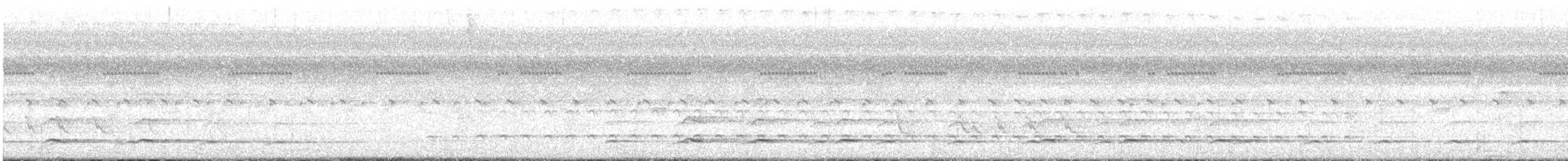 svartpannespett - ML618275265