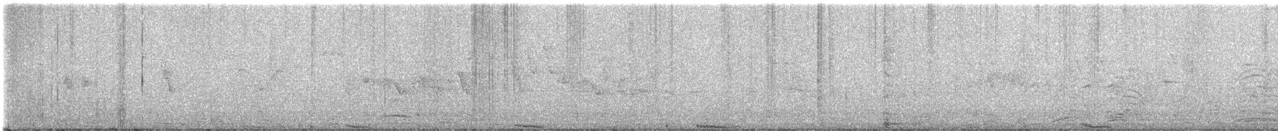 Kaya Güvercini (evcil tip) - ML618280474