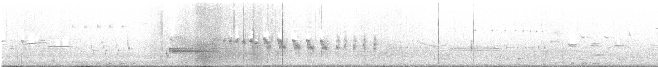 pygmérørdrum - ML618280735