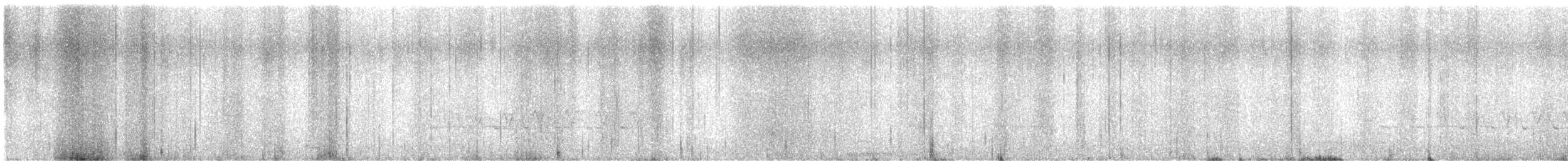 Поплітник каролінський - ML618285143
