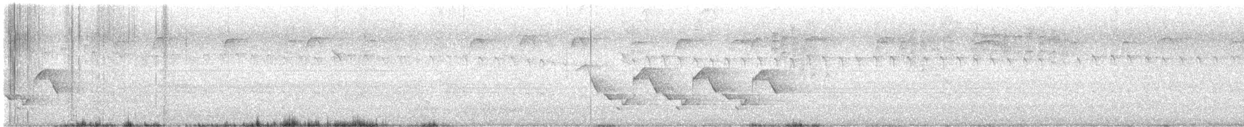 Каролинский крапивник - ML618285216