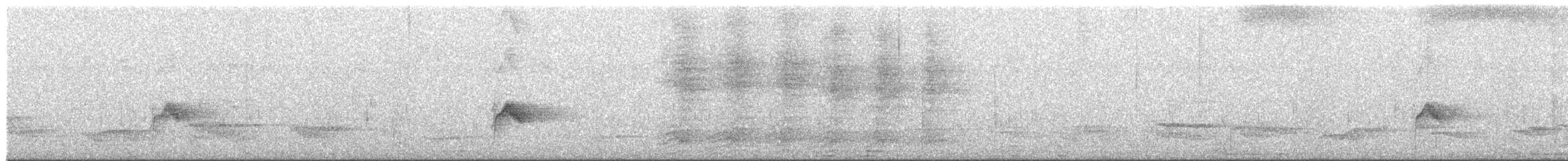 Дрізд-короткодзьоб малий - ML618285508