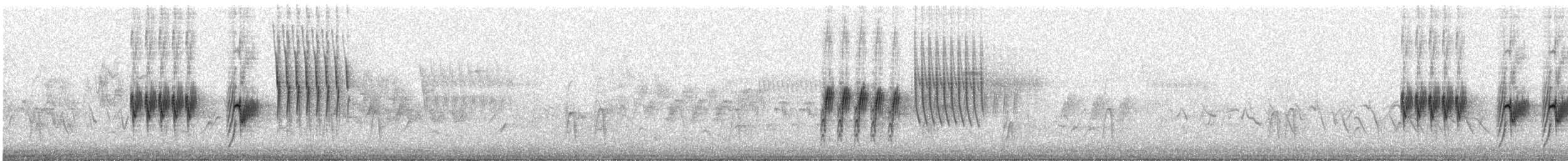 Spotted Towhee - ML618285939