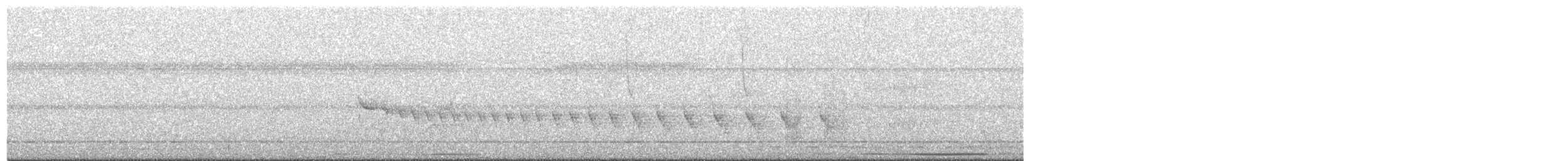 Grauband-Ameisenvogel - ML618286165