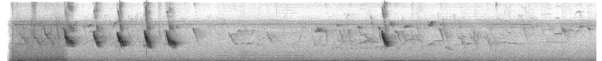 Щурик сірогорлий - ML618286402