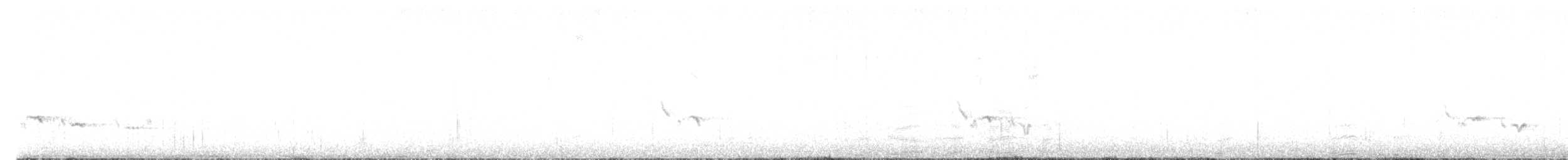 ハエトリツグミ - ML618291018