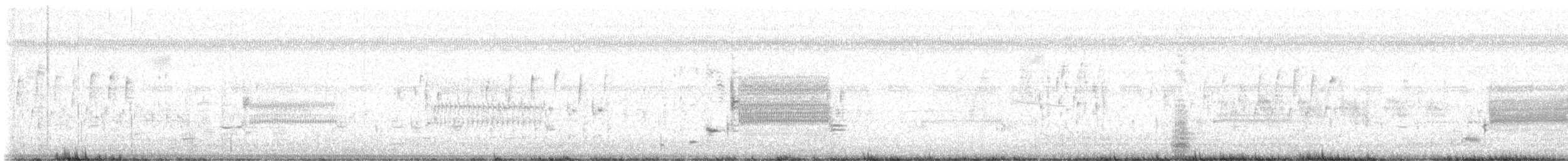 Troglodyte des marais - ML618292678