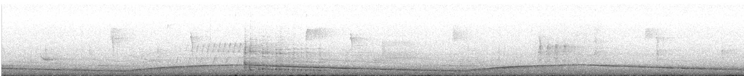 Guajolote Gallipavo - ML618296364