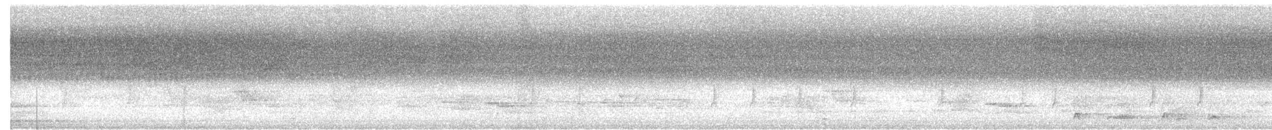 Серый петух - ML618296569