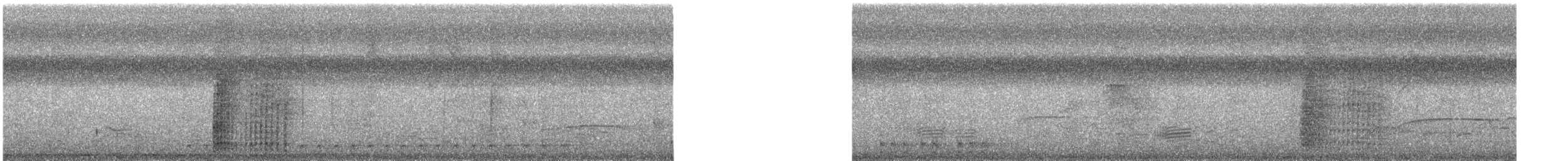 Kara Karınlı Çıtkuşu - ML618301249