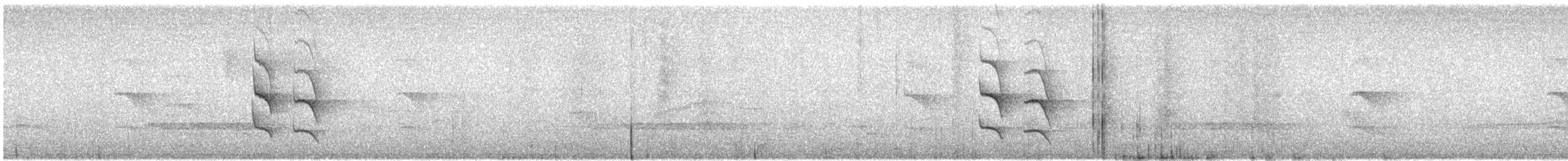 White-flanked Antwren (White-flanked) - ML618301298