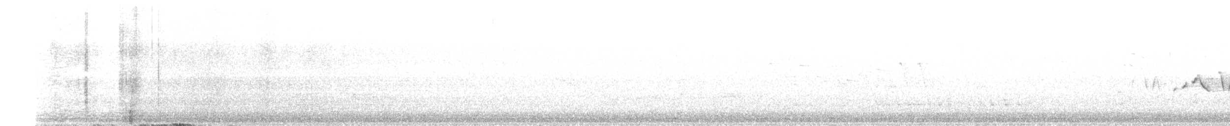 Common Yellowthroat - ML618301610