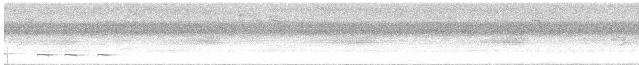 Graubrust-Ameisendrossel - ML618302525