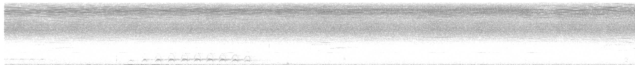 Lattice-tailed Trogon - ML618302539