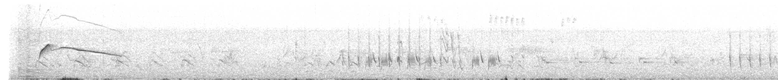 Moucherolle tête-fou - ML618302789